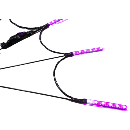 Spider Fans Digital LED