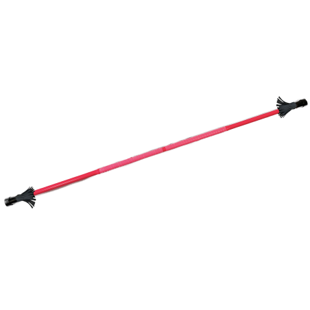 NEON Training Contact Staff