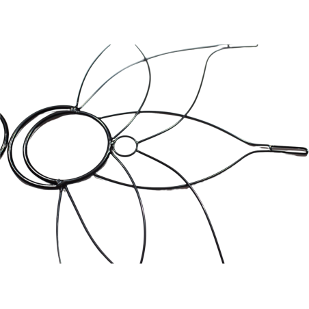 Frame Medium Lotus Fans