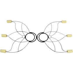 Smal Lotus Fire Fans